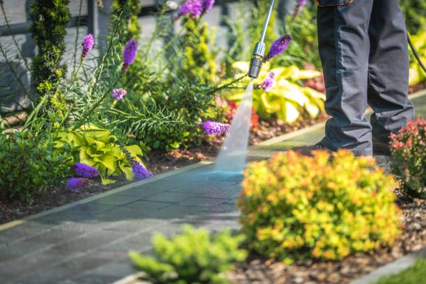 Best Pool Deck Cleaning  in Ventnor City, NJ